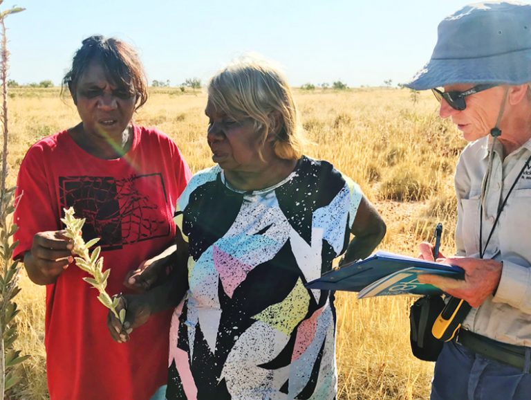 Helping Pilbara Traditional Owners record and share cultural knowledge ...