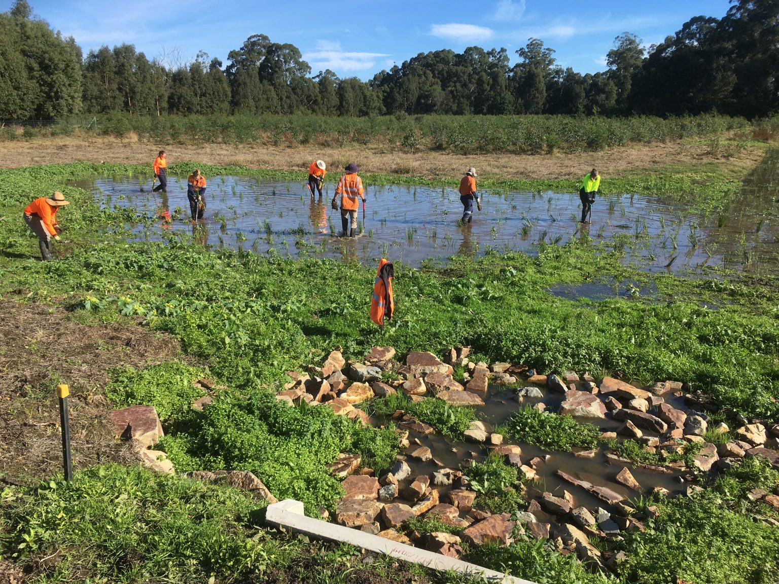 habitat-for-all-seasons-a-new-ephemeral-wetland-at-haining-farm