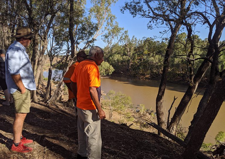 Queensland Indigenous Land Conservation Project - Greening Australia ...