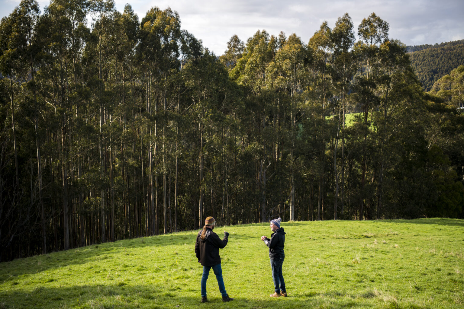 Nestlé Is Planting 10 Million Trees In Australia By 2025 - Greening ...