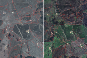 Two aerial images of a planting side shown side by side.