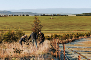 Three people stand outdoors in a revegetation corridor, that is clearly part of an agricultural landscape with open fields in the distance.