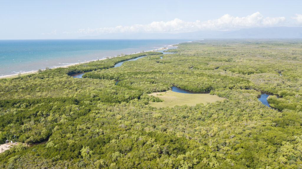 Aerial view of mangrove forests and the coast in QLD 