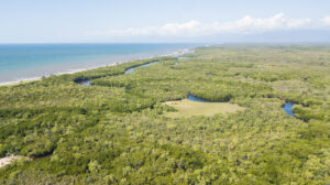 Aerial view of mangrove forests and the coast in QLD