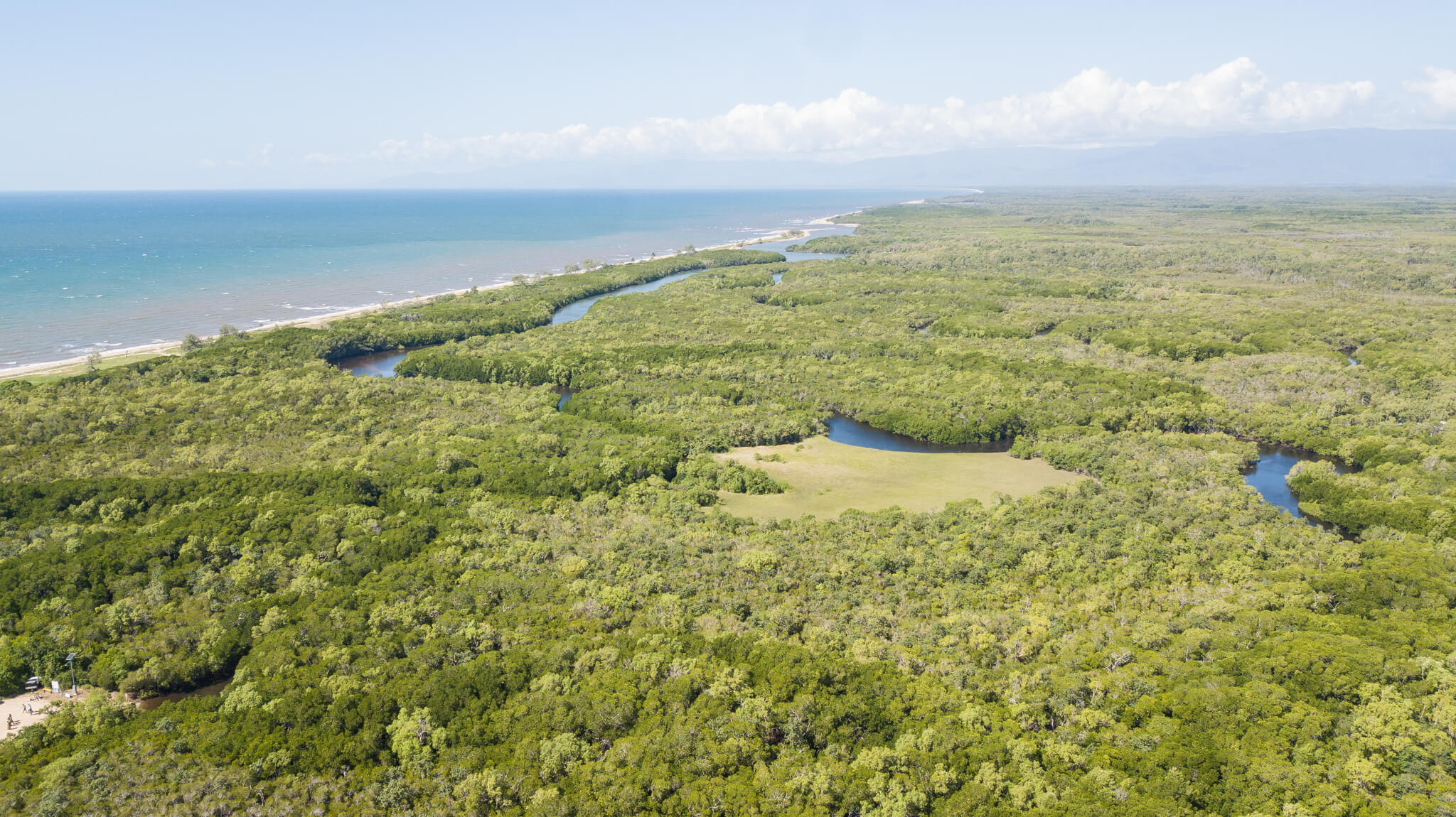 Mangroves capturing Blue Carbon on the Australian Coast