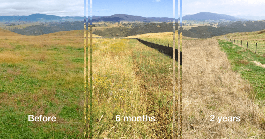 A series of images show the Scrape and Sow site from before restoration in 2020, at the six-month mark, and at the two-year mark.