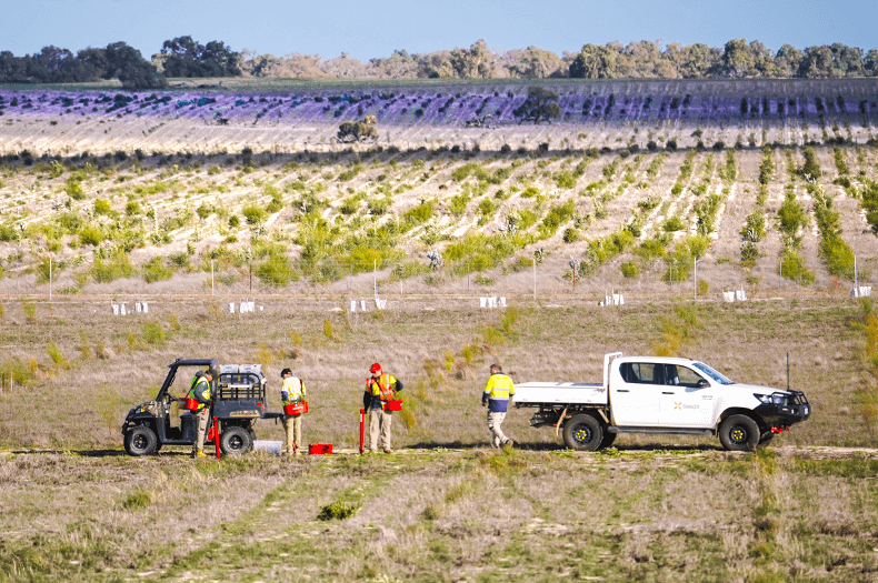 A group of men in the foreground are standing by farm vehicles preparing to plant, with trays of seedlings hanging from shoulder straps. Behind them, stretching to the horizon, rows of young native vegetation can be seen.