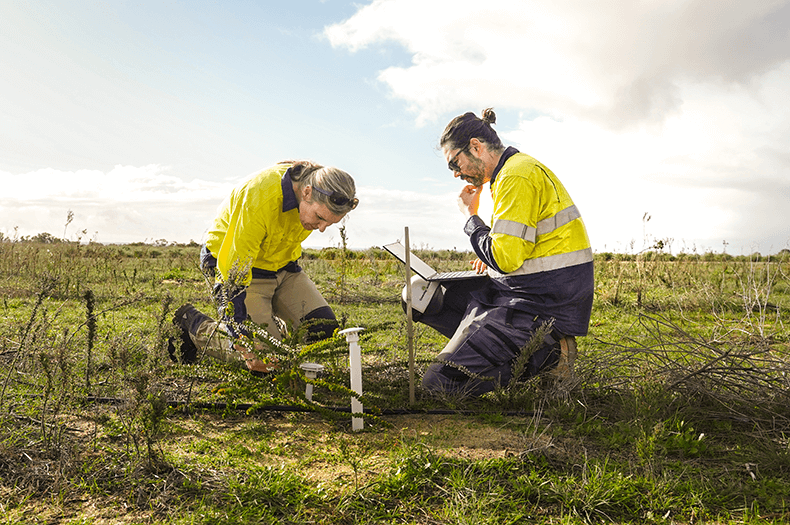 Two people crouch down in a field next to a native plant seedling that has a logger installed beside it. One is examining the leaves of the seedling, while the other is balancing a laptop on their knee and entering data.