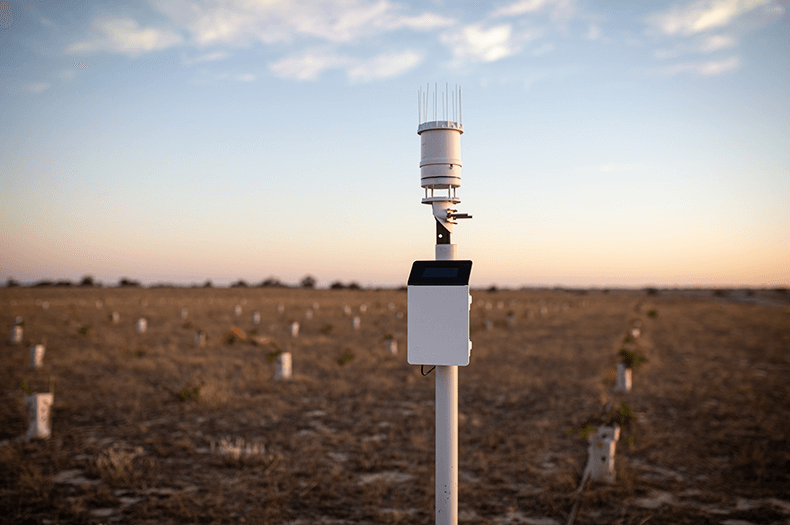 A slim weather station mounted on a pole is shown in the foreground, while in the background a wide open field full of guarded native plant seedlings can be seen. 