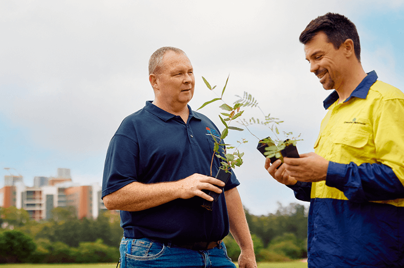 Two men, one from Sydney Local Health District and the other from Greening Australia, are talking holding seedlings. Visible in the background is a belt of mature trees and city buildings are visible above the tree canopy.